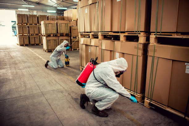Best Cockroach Control Services  in Harvard, NE