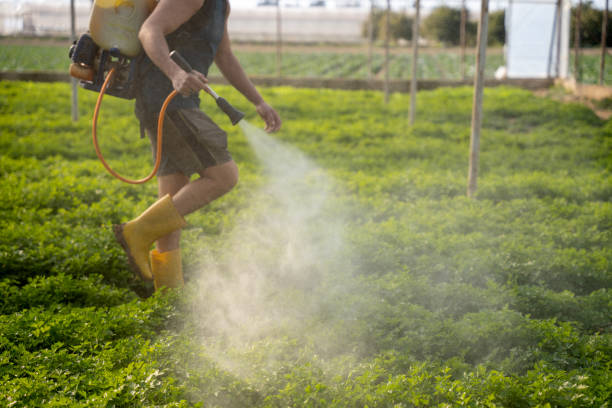 Best Pest Prevention Services  in Harvard, NE