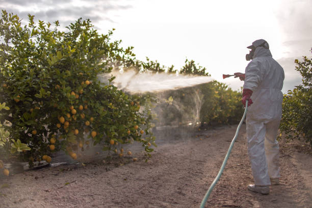 Best Insect Control  in Harvard, NE