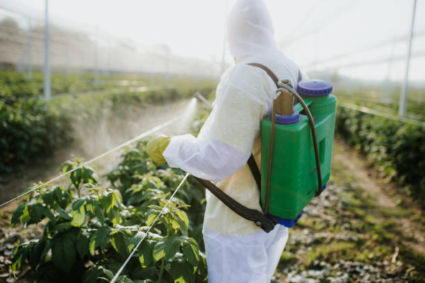 Best Best Pest Control Companies  in Harvard, NE